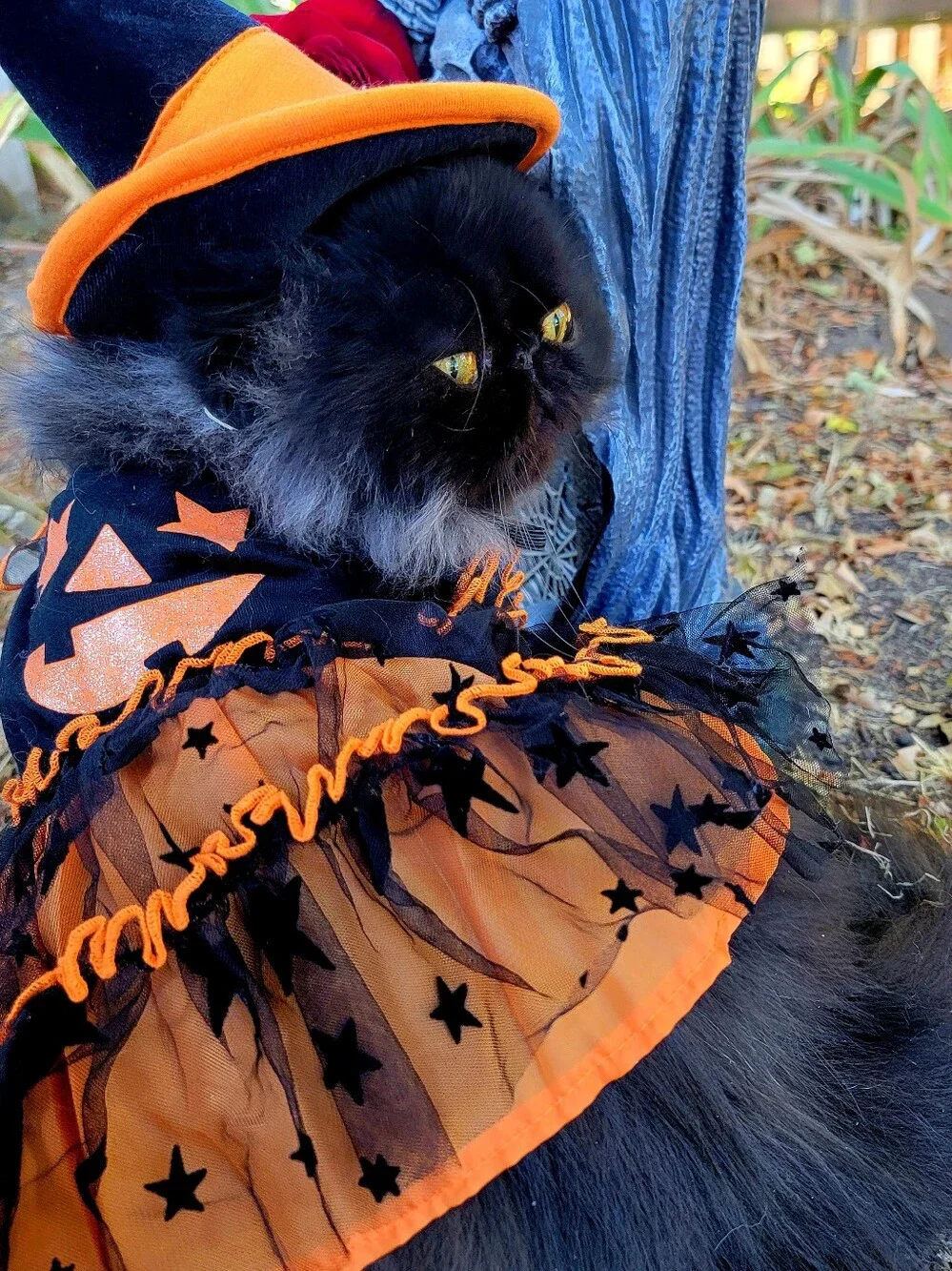 Halloween Pet Costume Dog Or Cat Witch Dress Xs Sm Ea. New W Tag